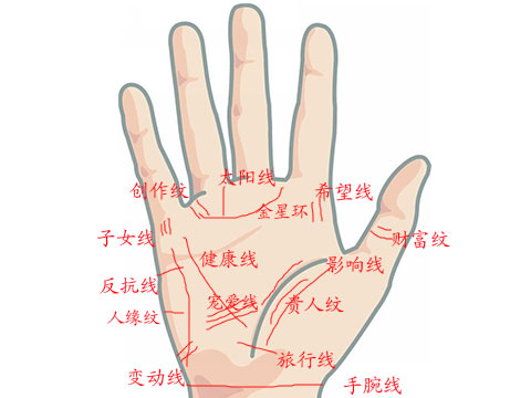 灵犀掌纹图解课堂:手掌纹路图解大全