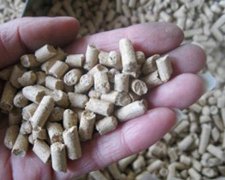 灵犀公司起名:公司取名:饲料公司该如何取名