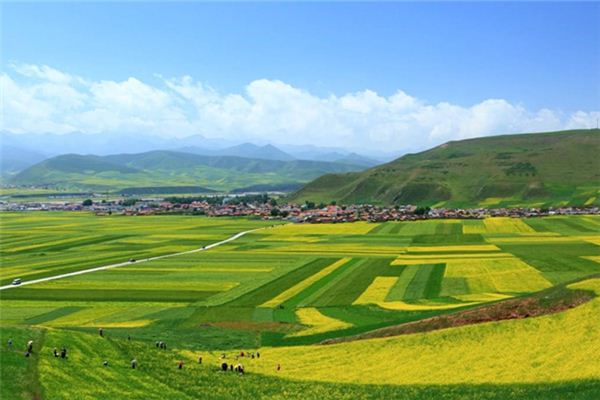 梦见田园风光