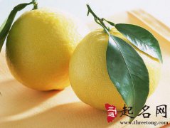 梦见柚子