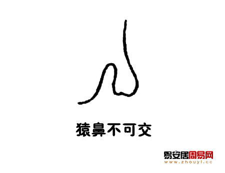 猿鼻<a href=/topics/101/ target=_blank class=infotextkey><a href=/topics/mianxiangtu/ target=_blank class=infotextkey>面相图</a></a>解