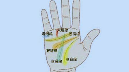 灵犀痣相课堂:手相看人生