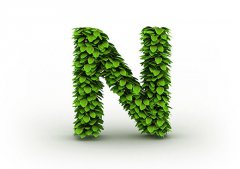 灵犀英文起名：N开头的女生英文名字大全