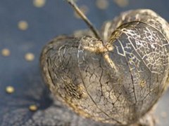 灵犀名字大全:2017年幽默好听的qq网名