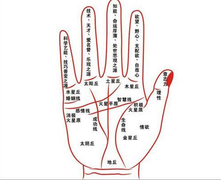 灵犀手相课堂:手相分析你靠什么发财?