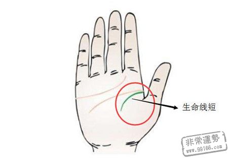 灵犀痣相课堂:手上生命线短，寿命就短吗?