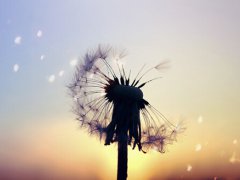 梦见死人又活了