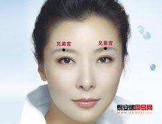 灵犀面相十二宫课堂:面相十二宫图解之兄弟宫详解