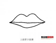 灵犀嘴唇课堂:嘴唇看面相算命图解