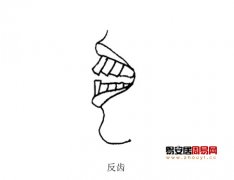 灵犀牙齿课堂:牙齿面相图解