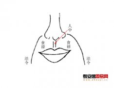 灵犀人中课堂:人中看面相算命图解
