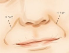 灵犀法令纹课堂:女人法令纹面相算命图解