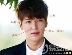灵犀鼻子课堂:男人鼻子面相学图解