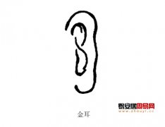 灵犀耳朵课堂:五行属金的耳朵面相图解