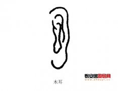 灵犀耳朵课堂:五行属木的耳朵面相图解