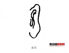 灵犀耳朵课堂:五行属水的耳朵面相图解