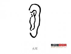 灵犀耳朵课堂:五行属火的耳朵面相图解