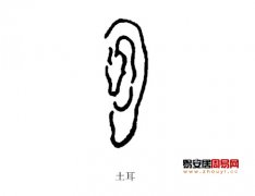 灵犀耳朵课堂:五行属土的耳朵面相图解
