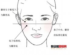 灵犀颧骨课堂:颧骨高的女人面相图解