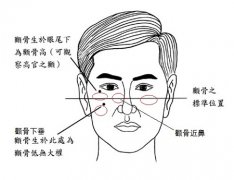 灵犀颧骨课堂:男人颧骨高看相算命图解