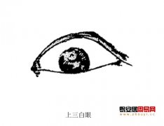 灵犀三白眼课堂:三白眼面相图解