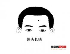 灵犀额头课堂:额头面相算命图解