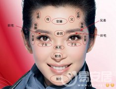 灵犀面相图课堂:面相十二宫算命图解