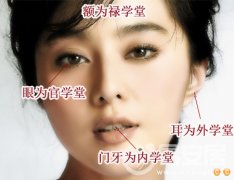 灵犀面相图课堂:面相四学堂图解
