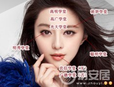 灵犀面相图课堂:面相八学堂图解