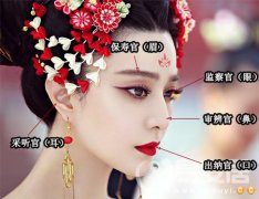 灵犀面相图课堂:面相五官图解