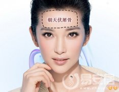 灵犀骨相课堂:伏犀骨的位置骨相图解