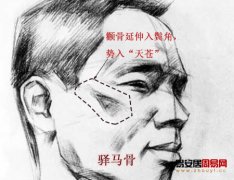 灵犀骨相课堂:驿马骨的位置骨相图解