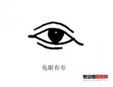 灵犀眼型课堂:龟眼面相图解
