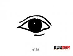 灵犀眼型课堂:龙眼面相图解