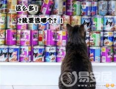 灵犀看相识人课堂:什么面相的人最没有主见