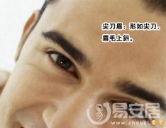 灵犀眉毛课堂:尖刀眉面相算命图解