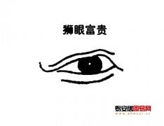 灵犀眼型课堂:狮眼面相图解