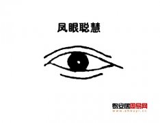 灵犀眼型课堂:凤眼面相图解