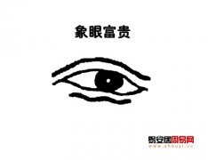 灵犀眼型课堂:象眼面相图解