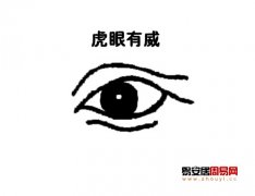 灵犀眼型课堂:虎眼面相图解