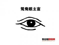 灵犀眼型课堂:鸳鸯眼面相图解