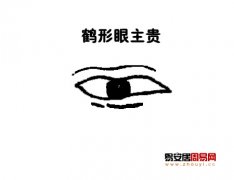 灵犀眼型课堂:鹤形眼面相图解