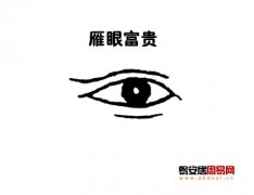 灵犀眼型课堂:雁眼面相图解