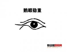 灵犀眼型课堂:鹅眼面相图解