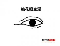 灵犀桃花眼课堂:桃花眼面相图解
