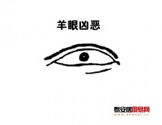 灵犀眼型课堂:羊眼面相图解