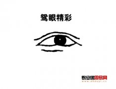 灵犀眼型课堂:鸳眼面相图解