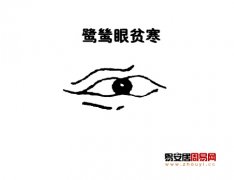 灵犀眼型课堂:鹭鸶眼面相图解