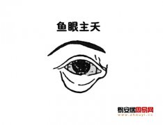 灵犀眼型课堂:鱼眼面相图解