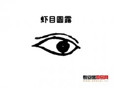 灵犀眼型课堂:虾目面相图解